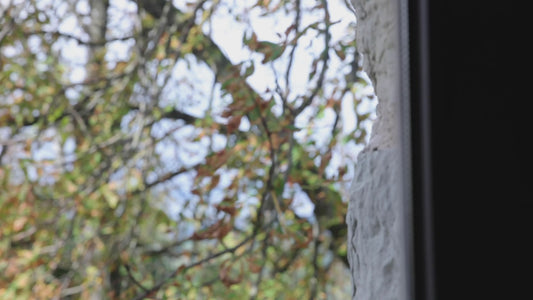 d-ENTRO - ritiro olistico, ritiro psicologia Italia, ritiro Yoga, retreat Italia,  crescita personale, yoga, breathwork, meditazione, psicologia, Coaching Olistico, incontro con l'inconscio, benessere mentale - Entropic Brain