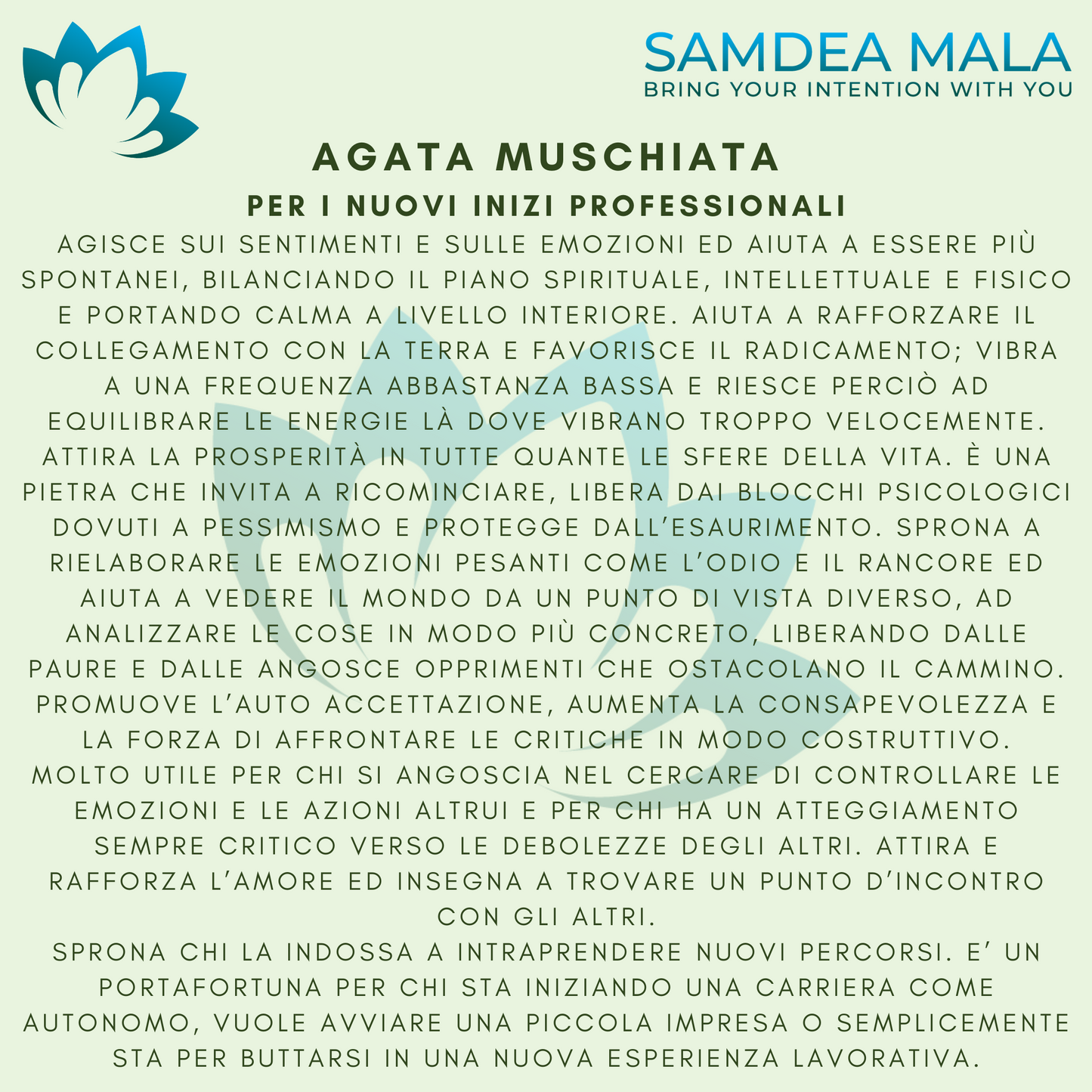 Agata muschiata - Samdea Mala