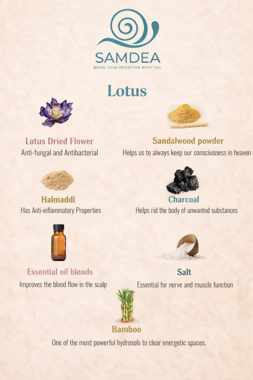 High Density Zen: Il Rituale di Focalizzazione da 90 Minuti
Pura Forza Himalayana | Potenza Arrotolata a Mano