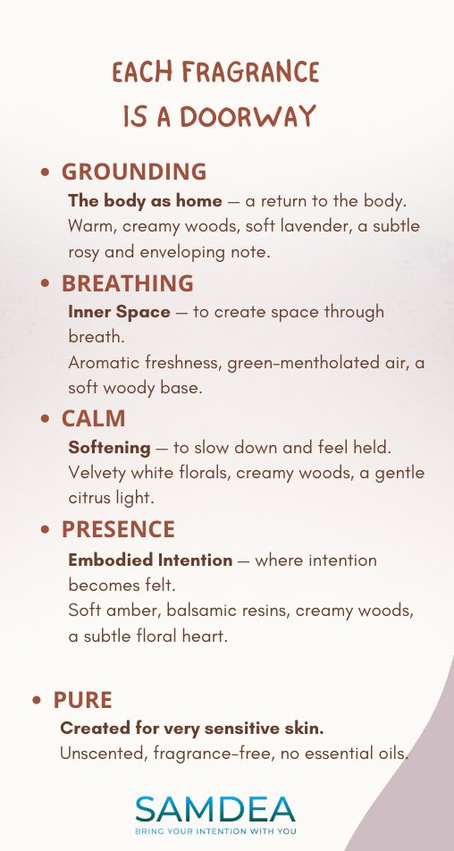 Vegan Deodorant Stick – Super Gentle, Plastic-Free, 100% Natural | Shea + Jojoba - Samdea Mala