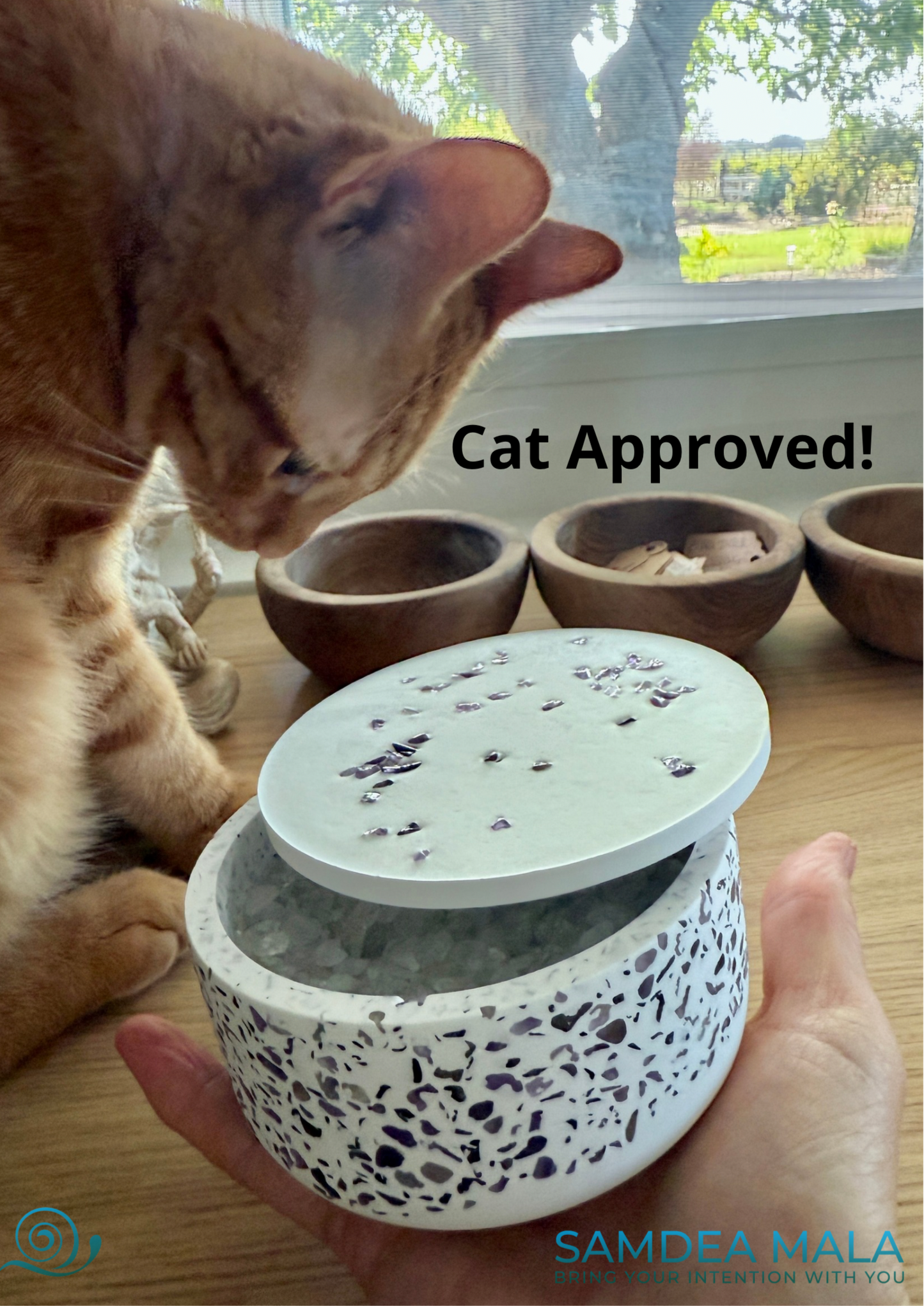 purifying and charging bowl with natural selenite, amethyst, and quartz crystals - cat approved